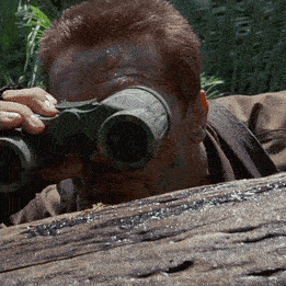 1000002219.gif