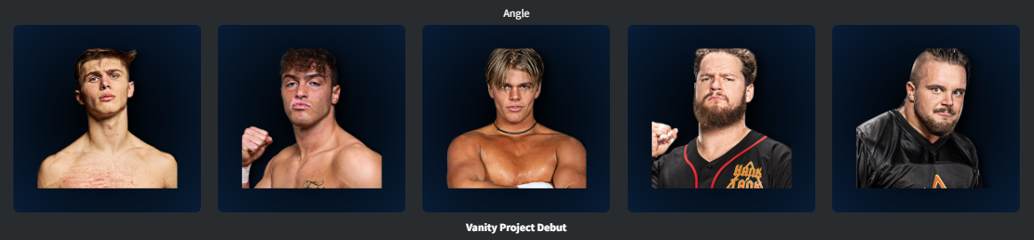 11. Vanity Project Debut.png