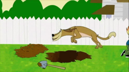 1675184137463.gif