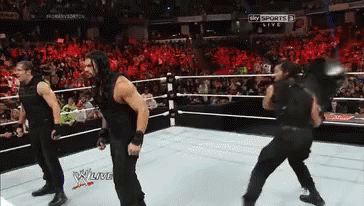 1686660549332.gif