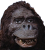 1703337311693.png