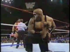 2-23-2019 12-29-41 AM.gif