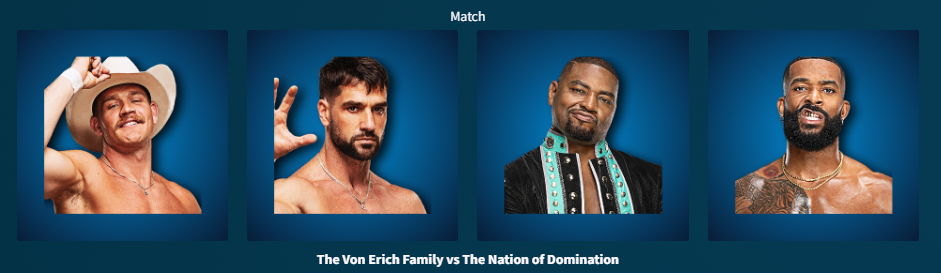 3. The Von Erich Family def Nation of Domination.png