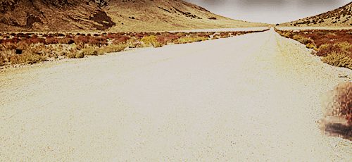 4B364726-BC78-4B87-9D65-A99390C1E817.gif