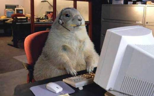 5647_animals_working_07.jpg