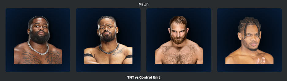 8. Control Unit def TNT.png