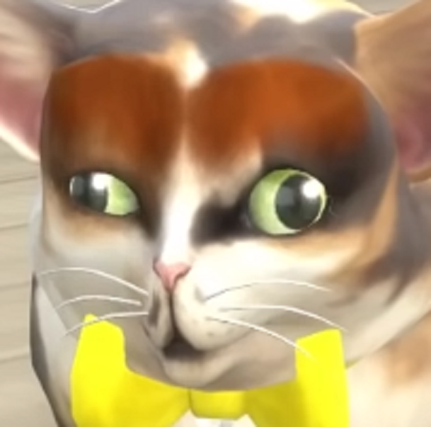 bvghbn.png