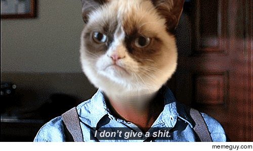 dxcfbxcb.png