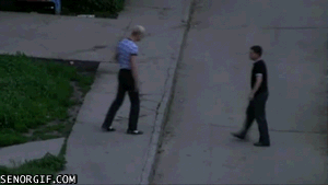 giphy.gif