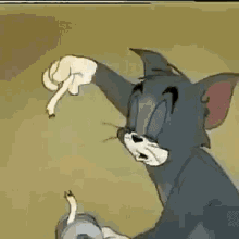 giphy.gif