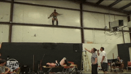 IgnorantPastelKittiwake-small.gif