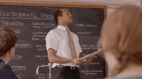 IMG_4934.gif