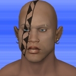 Java.jpg