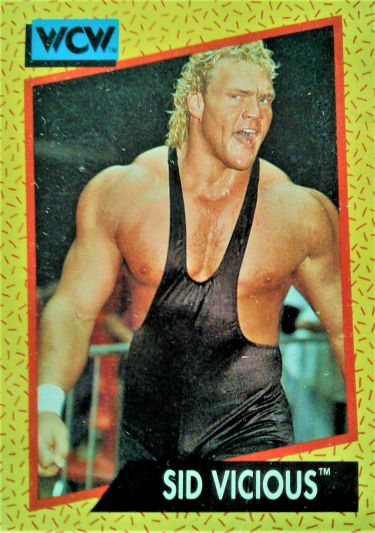 Sid Vicious.jpg