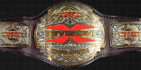 TNA X-Division.jpg