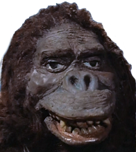 wtk (1).png