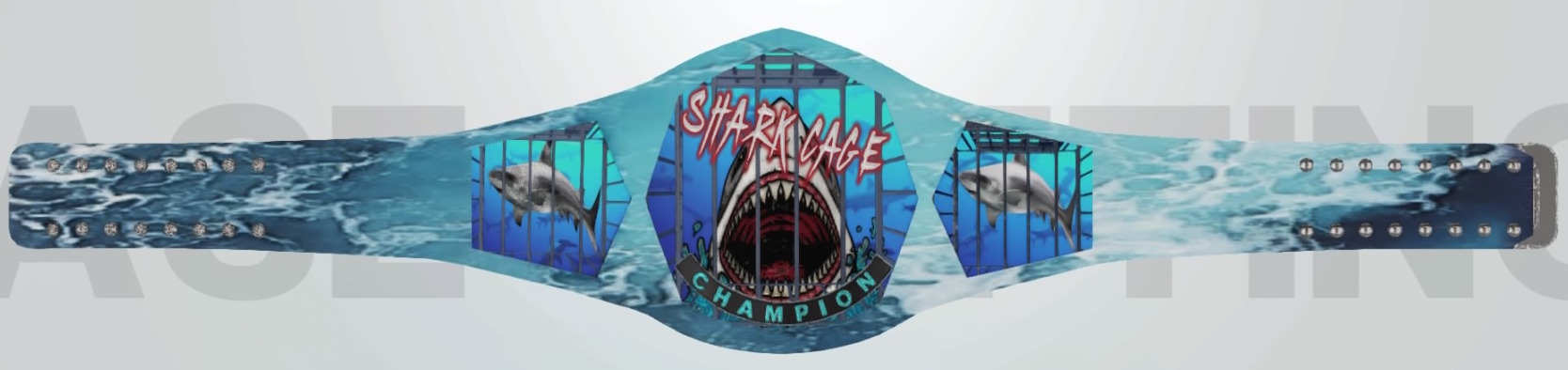 WWE 2K19_20210721073540.jpg