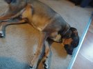 20180518_193729.jpg