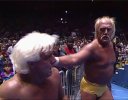 hogan-flair-11-30-1991.jpg