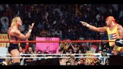 wwf sid hogan 4.jpg