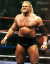 wwf sid.jpg