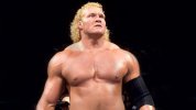 wwf sid 2.jpeg