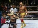 hogan-flair-12-30-1991.jpg
