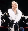 wwf flair.jpg