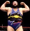 earthquake-wwf.jpg