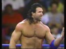 wwf studd.jpg