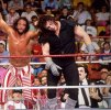 wwf macho vs taker.jpg