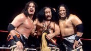 wwf SST.jpg