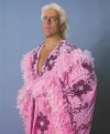wwf flair 2.jpg