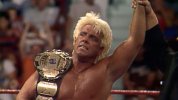 wwf flair champ.jpg