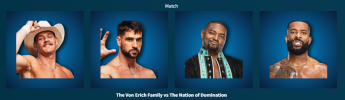 3. The Von Erich Family def Nation of Domination.png
