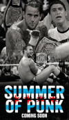 summer of punk.png