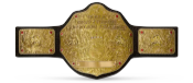 WCW World Heavyweight Championship.png
