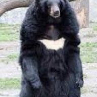 ReconBearz