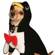 NickThePenguin