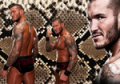 OrtonLoverFever