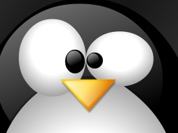 Dave1