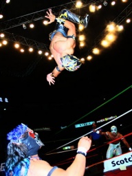 HIGH FLYER