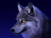 Shad0w_W0lf20