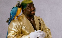 Koko B Ware