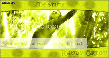RandyOrtonSigcopy.jpg