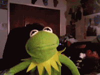 K2qCs.gifkermit.gif