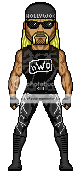 HollywoodHogan2copy.png