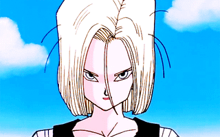 d81dbf4f8b2a63c84cc9509d4fb336185a1009b3_00.gif