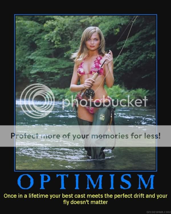aa_poster1.jpg