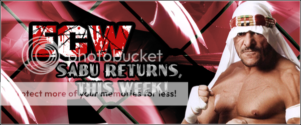 ecwbanner.png